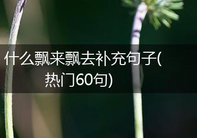 什么飘来飘去补充句子(热门60句)