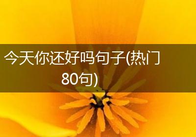 今天你还好吗句子(热门80句)