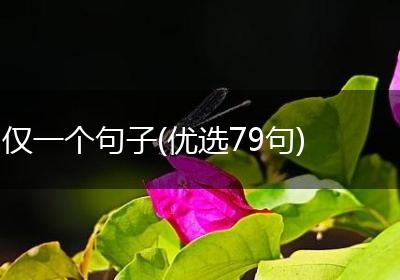 仅一个句子(优选79句)