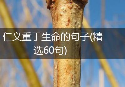 仁义重于生命的句子(精选60句)