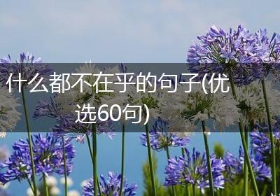 什么都不在乎的句子(优选60句)