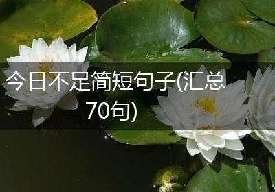 今日不足简短句子(汇总70句)