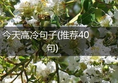 今天高冷句子(推荐40句)