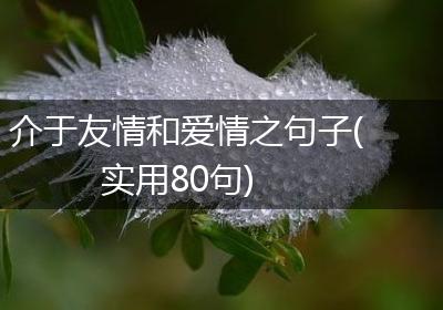 介于友情和爱情之句子(实用80句)