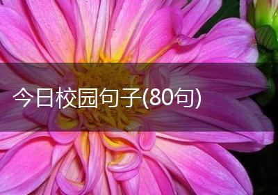 今日校园句子(80句)