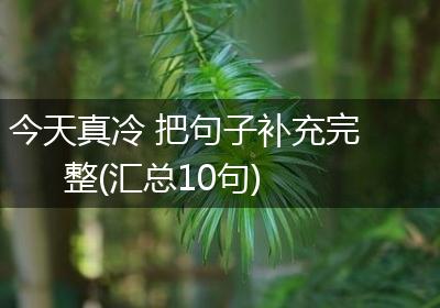 今天真冷 把句子补充完整(汇总10句)