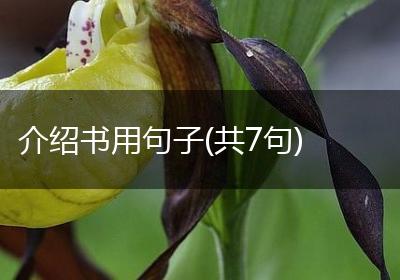 介绍书用句子(共7句)