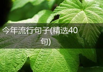 今年流行句子(精选40句)