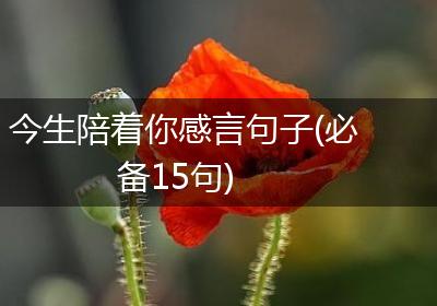 今生陪着你感言句子(必备15句)