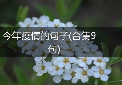 今年疫情的句子(合集9句)