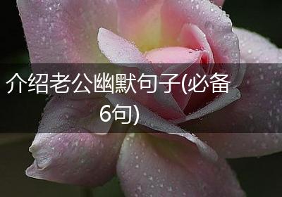 介绍老公幽默句子(必备6句)