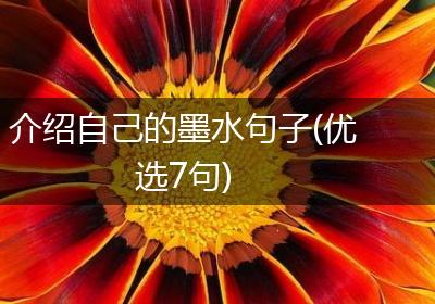 介绍自己的墨水句子(优选7句)