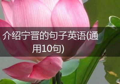 介绍宁晋的句子英语(通用10句)
