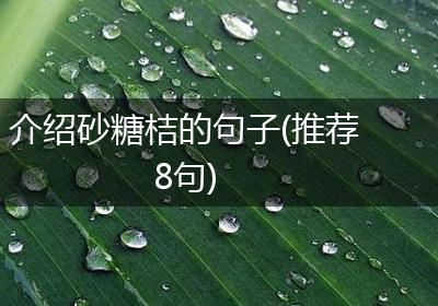介绍砂糖桔的句子(推荐8句)