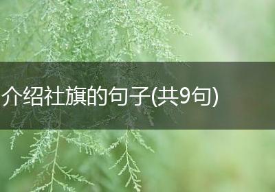 介绍社旗的句子(共9句)