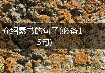 介绍素书的句子(必备15句)