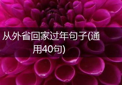 从外省回家过年句子(通用40句)