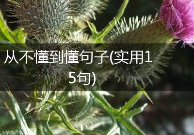 从不懂到懂句子(实用15句)
