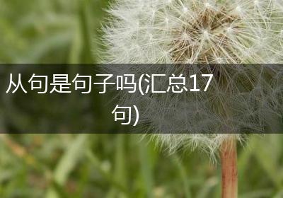 从句是句子吗(汇总17句)