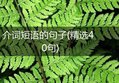 介词短语的句子(精选40句)