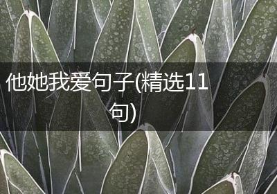 他她我爱句子(精选11句)