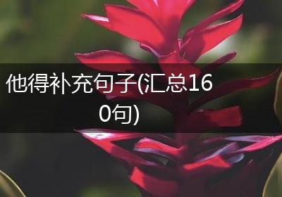 他得补充句子(汇总160句)