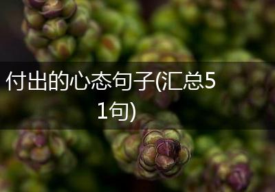 付出的心态句子(汇总51句)