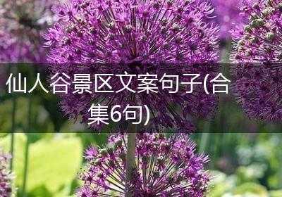 仙人谷景区文案句子(合集6句)
