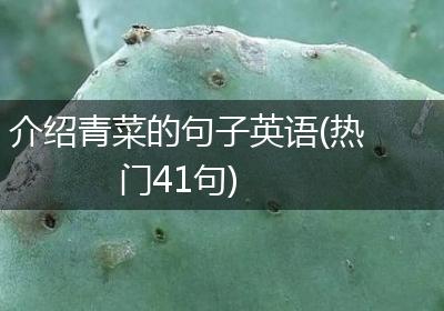 介绍青菜的句子英语(热门41句)