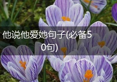 他说他爱她句子(必备50句)