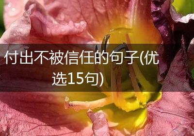 付出不被信任的句子(优选15句)