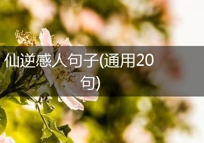 仙逆感人句子(通用20句)