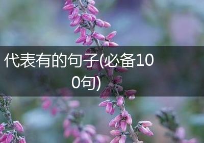 代表有的句子(必备100句)