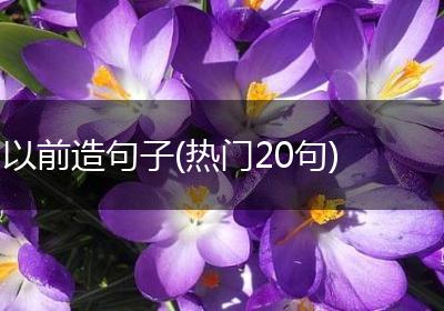 以前造句子(热门20句)