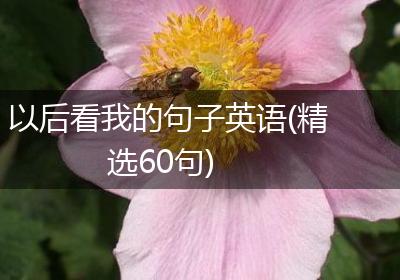 以后看我的句子英语(精选60句)