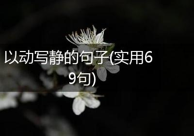 以动写静的句子(实用69句)