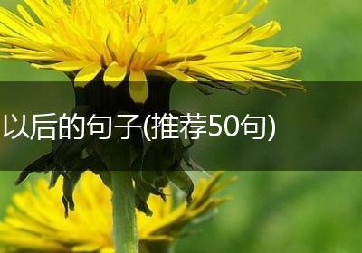 以后的句子(推荐50句)