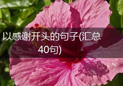 以感谢开头的句子(汇总40句)