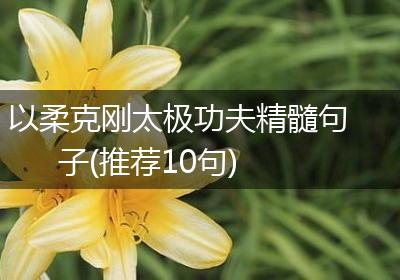 以柔克刚太极功夫精髓句子(推荐10句)