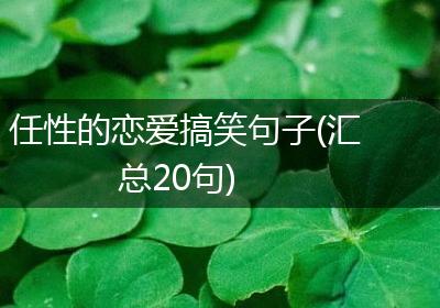 任性的恋爱搞笑句子(汇总20句)