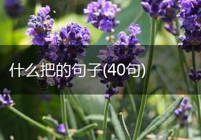什么把的句子(40句)
