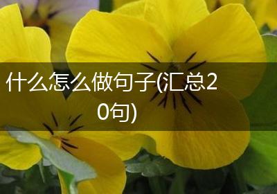 什么怎么做句子(汇总20句)