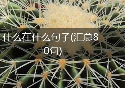 什么在什么句子(汇总80句)