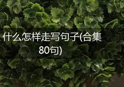 什么怎样走写句子(合集80句)