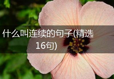 什么叫连续的句子(精选16句)