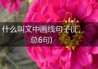 什么叫文中画线句子(汇总6句)