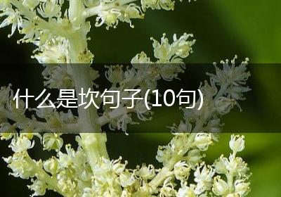 什么是坎句子(10句)