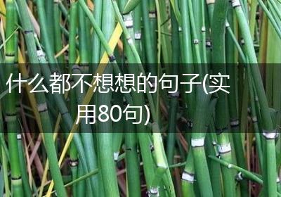 什么都不想想的句子(实用80句)