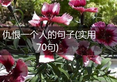 仇恨一个人的句子(实用70句)