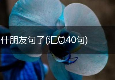 什朋友句子(汇总40句)